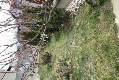 Casă cu 5 camere cu Teren 284 Mp în Ghiroda