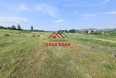 Casă cu Teren 7500 Mp în Voila - 10