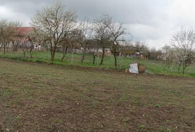 Casă cu 3 camere în Ciulești - 3