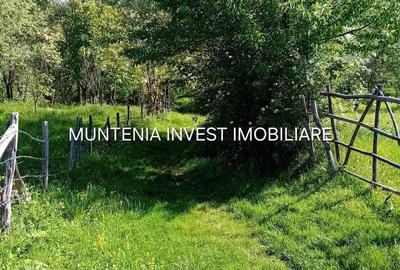 Spațiu comercial, în Brădetu - 7