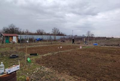 Teren de 5000 mp, în Corbii Mari - 3
