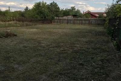 Casă cu Teren 803 Mp în Balotești - 3