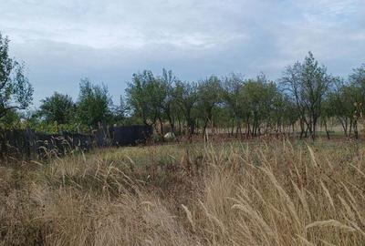 Casă cu 2 camere cu Teren 3000 Mp în Diculești - 7