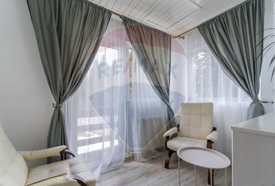 Hotel/Pensiune, de 404 mp, în Vlădeț - Trei Brazi - 22