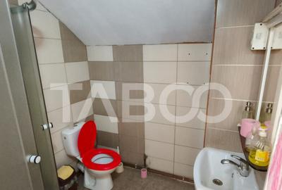 Casa cu curte si gradina de vanzare in Sebes judetul Alba - 2