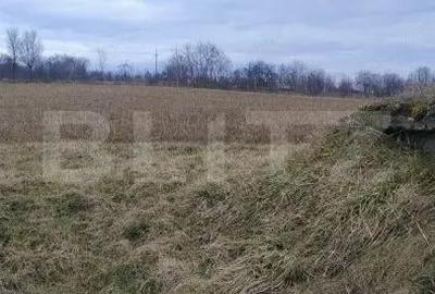 Casă cu Teren 5450 Mp în Central - 7