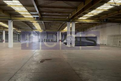 Spațiu industrial, de 19,300 mp, în Odăi - 27