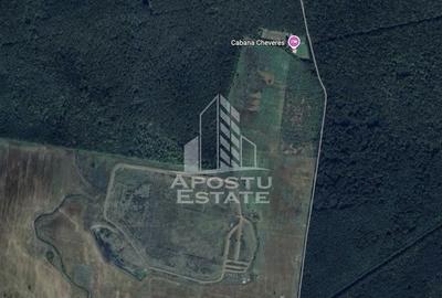 Teren 27000 mp, ideal centru seniori,liziera padurii, Cheveresul Mare. - 1
