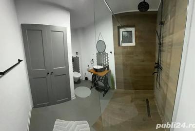 Casa de Vanzare Valiug Crivaia + Teren - 2