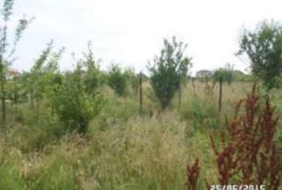 Teren Construcții intravilan de 3200 mp, în Clinceni - 2