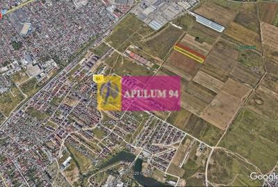 Teren Construcții intravilan de 7500 mp, în Dobroești - 3