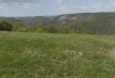 Teren de 3774 mp, în Ghelari - 4