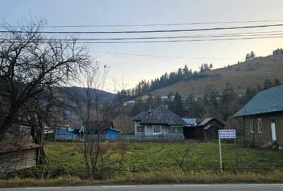 Casă cu 2 camere în Pârâul Pântei - 6