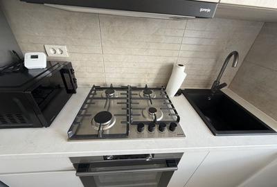 Apartament cu 2 camere în Obcini - 2
