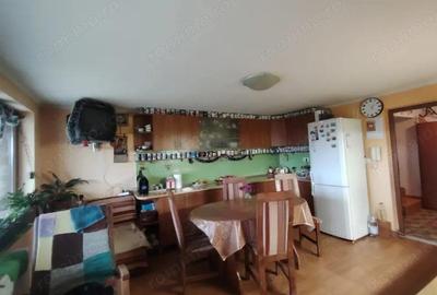 Casa superba in Saliste de Beius - 4