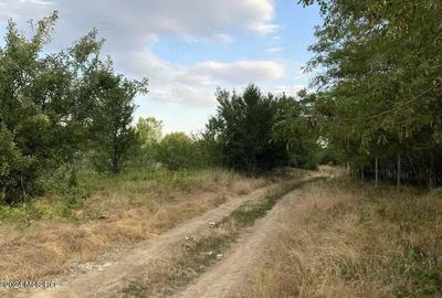 Corbeanca - Tamasi, intravilan, 16562 mp, deschidere 93 m, rezidential - 8