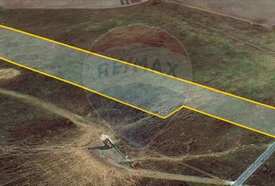 Teren agricol extravilan de 50000 mp, în Est - 24