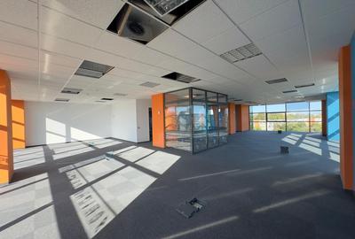 Spatii birouri, medicale 745mp, Tudor Center - 18