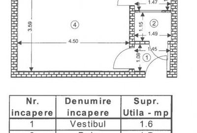 Garsonieră semidecomandată, mobilată în Dârste - 3