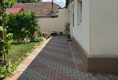 Casă cu 4 camere cu Teren 925 Mp în Sânandrei - 3