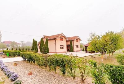 Casă cu 4 camere cu Teren 3200 Mp în Archiș - 10
