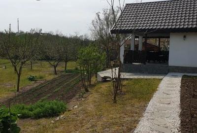 Casă cu 1 camere cu Teren 2000 Mp în Lăpuș Argeș - 8