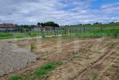 Teren de 2400 mp, în Careiului - 7