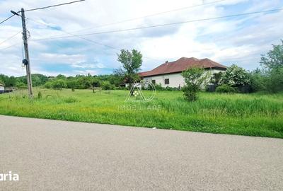 Teren de 7443 mp, în Săcelu - 1