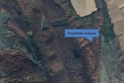 Teren extravilan padure, cota parte de 1/48 Horgesti, ID:... - 6