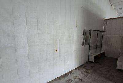 Spatiu Th. Pallady | Ozana | Depozitare-Productie 180mp - 5