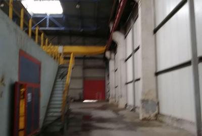 Birouri, spatiu industrial, hale Zona Libera Giurgiu ID 17096 - 2