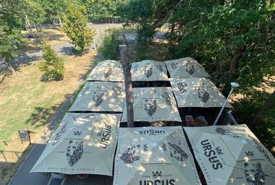 REC3001500 Restaurant de vanzare  Parcul Tineretului - 8