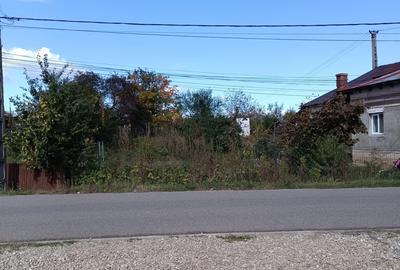 Casa de vanzare in orasul Baicoi PH - 6