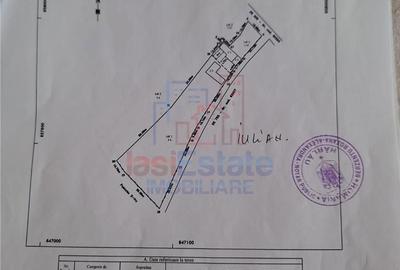 Casă cu 4 camere cu Teren 4239 Mp în Scobinți - 19