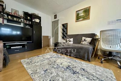 Apartament cu 2 camere nedecomandat, mobilat în Șagului - 1