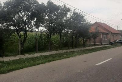 Casă cu 2 camere în Beliu - 4