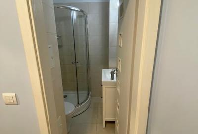 De vanzare apartament 3 camere Bdul Basarabia, semistradal - 8