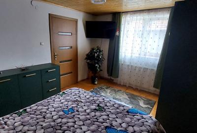 Casa 4 camere suprafata utila 126mp, teren 1600mp, spre vanzare in Seica Mare - 10