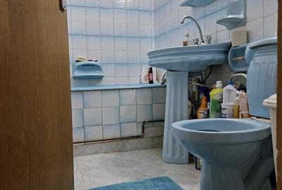 Apartament cu 2 camere decomandat în Popa Șapcă - 10