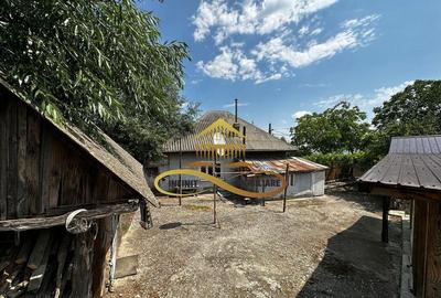 Casa batraneasca cu 1008 mp teren de vanzare in Sarata / ... - 11