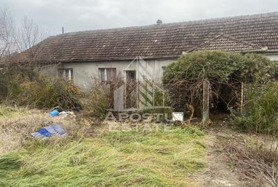 Casa individuala in Ghiroda cu 1509 mp teren - 3