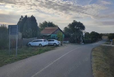 Casa cu teren 2200 mp si hala noua de 154 mp in localitatea Bodrogu Nou la 10 km de Arad - 2