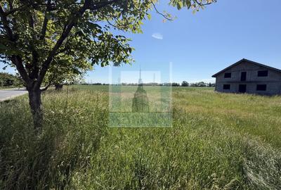 Teren Construcții intravilan de 50000 mp, în Hălchiu - 2
