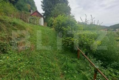 Casă cu 2 camere cu Teren 1000 Mp în Vulcan - 6