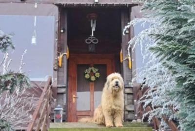 Casă cu 4 camere cu Canalizare în Sibiel - 6