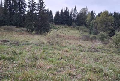 Spațiu comercial, în Panaci - 5