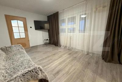 Apartament cu 2 camere semidecomandat în Brazda lui Novac - 9
