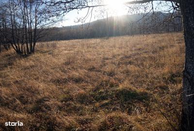 Teren de 5000 mp, în Central - 1