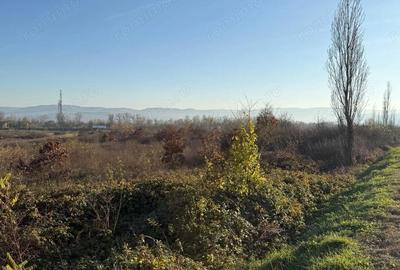 Teren de 18532 mp, în Gurasada - 2