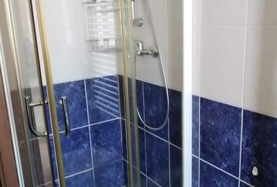 Apartament cu 2 camere decomandat în Viișoara - 1